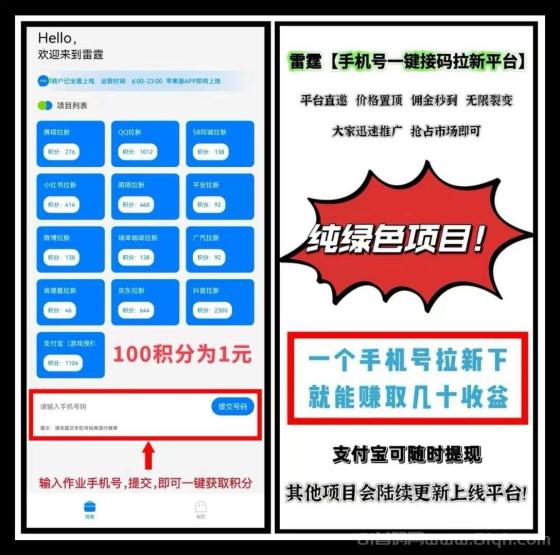 雷霆一键拉新：老年机项目，不实名不下载，日入60+，推广躺赚三年