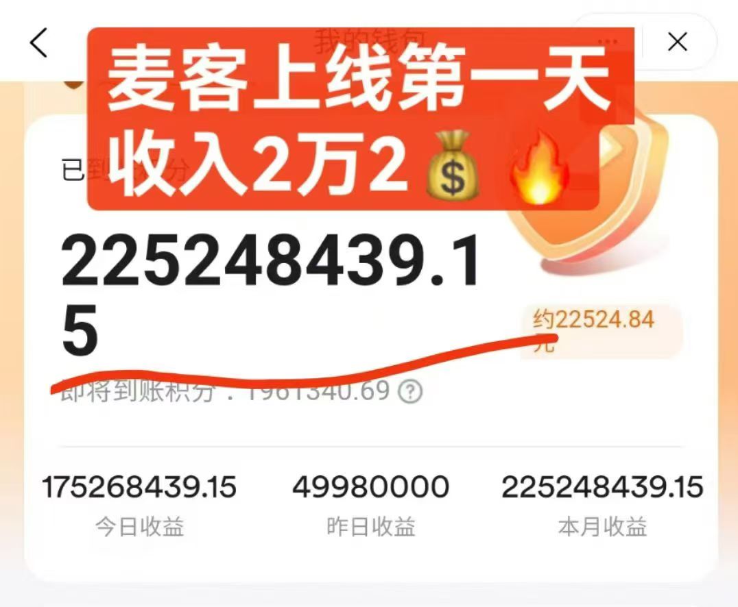 【麦客3.0】多种玩法，大神一对一带你搞钱，可零撸！