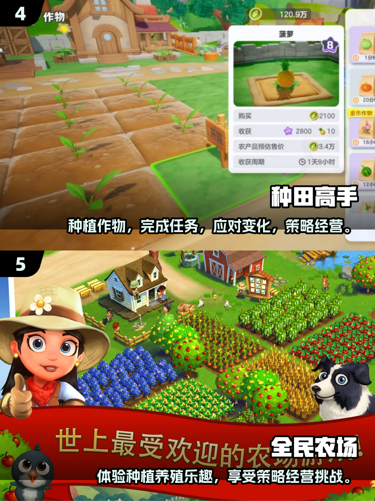 智慧农场游戏正规吗？经典种菜，永久1米提