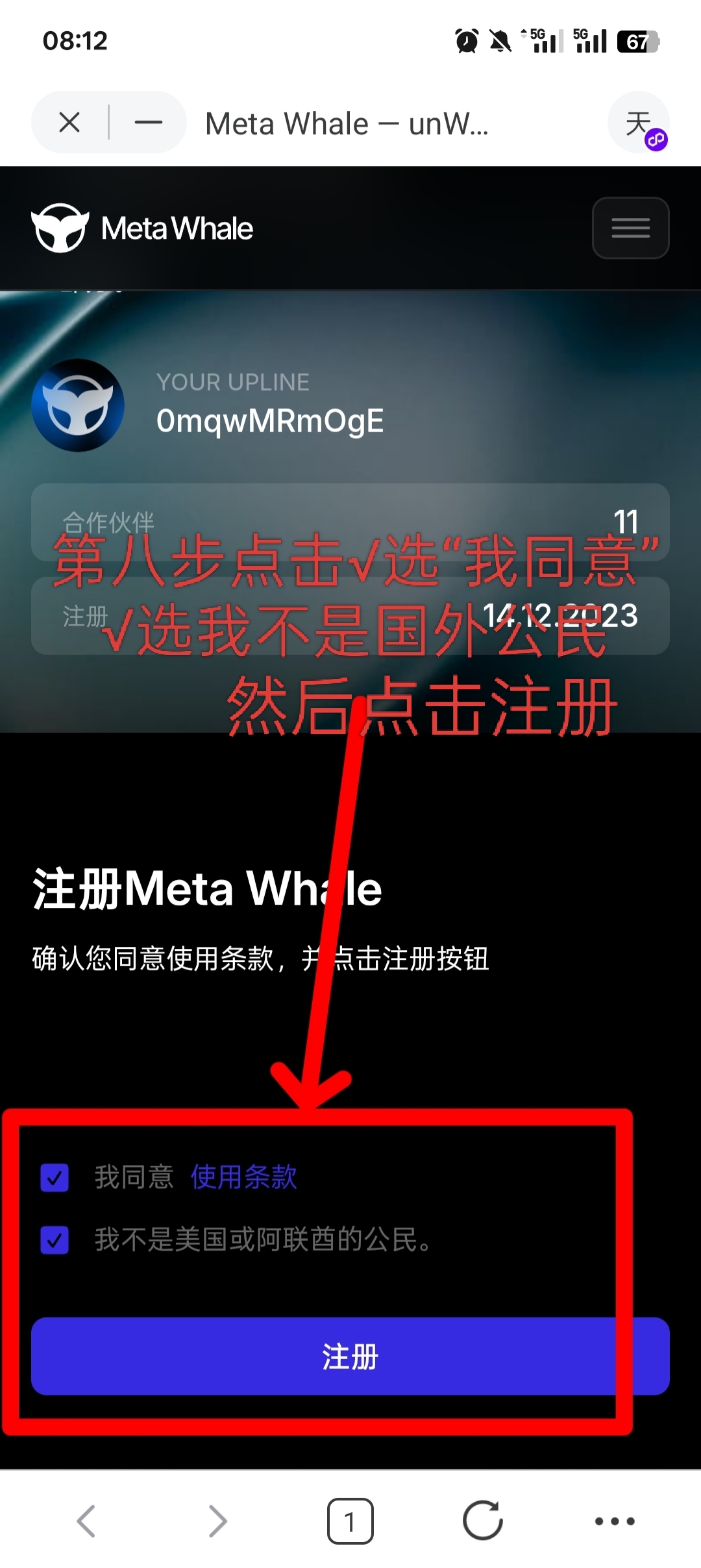 MetaWhale元鲸鱼注册TP钱包DAI质押全球一条线公排自动滑落矩阵收益