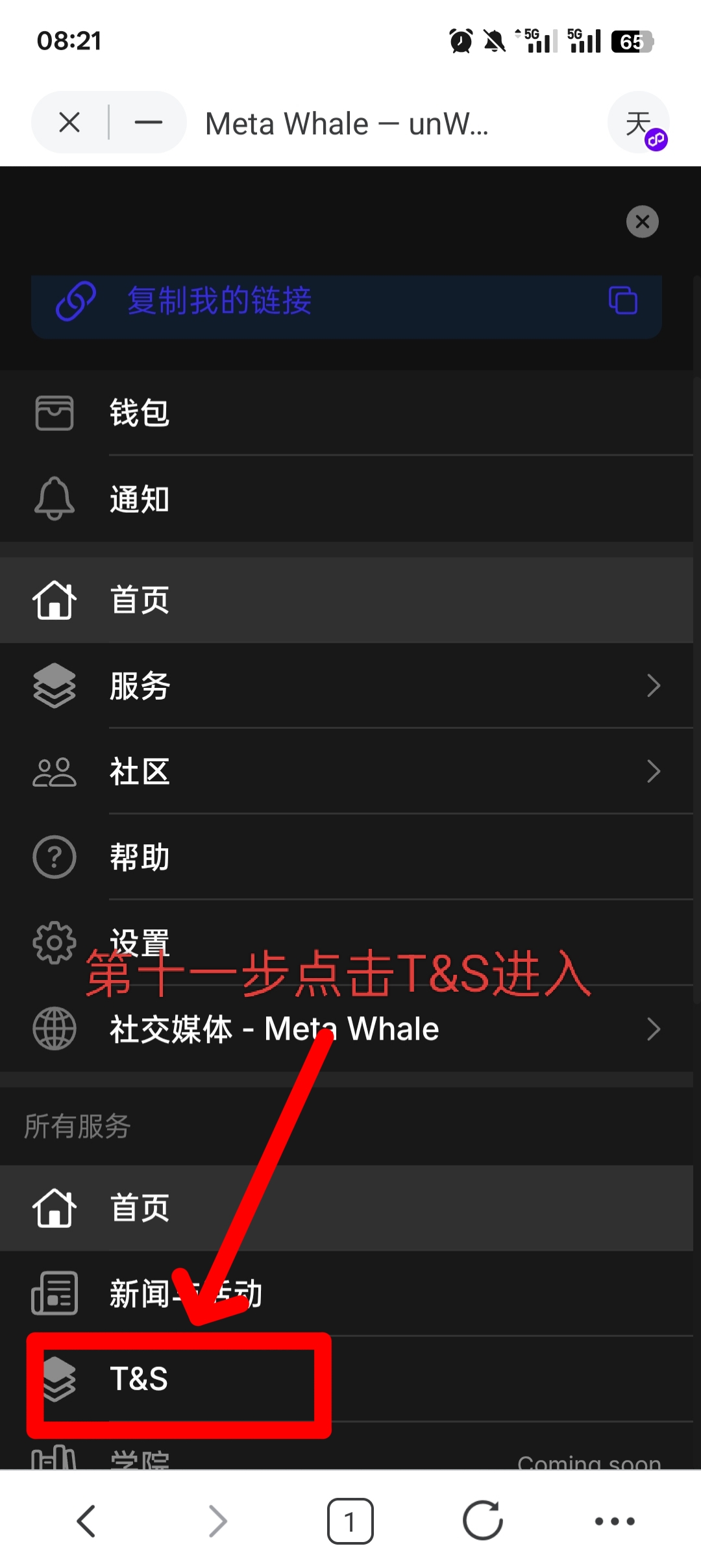 MetaWhale元鲸鱼注册TP钱包DAI质押全球一条线公排自动滑落矩阵收益