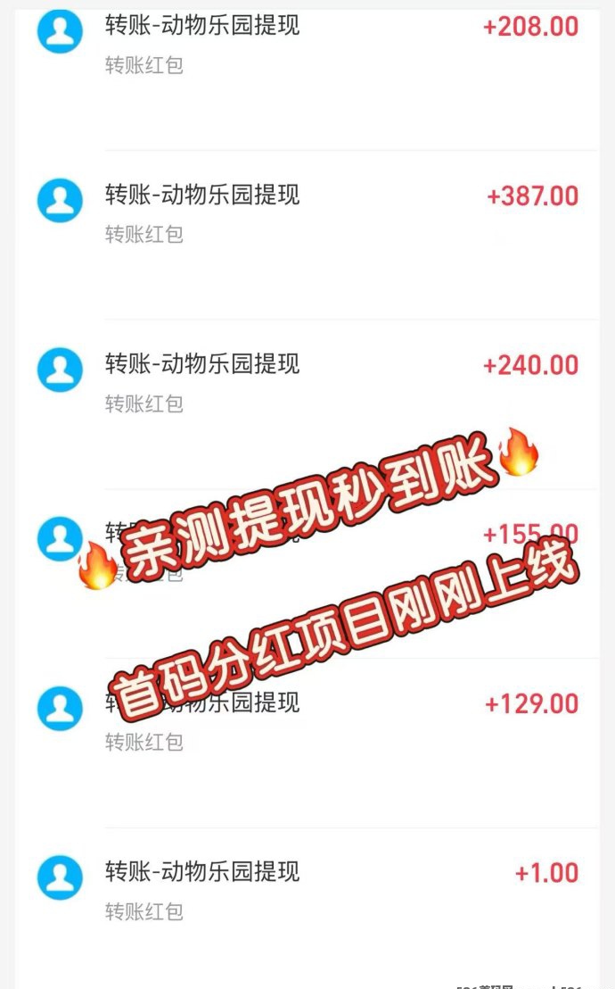 动物乐园分红版首码！扶持力度比较好