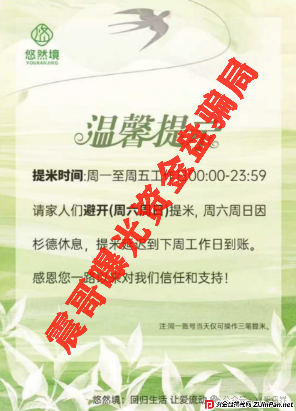 【悠然境暴雷预警】震哥曝提现异常！盘子要翻车？