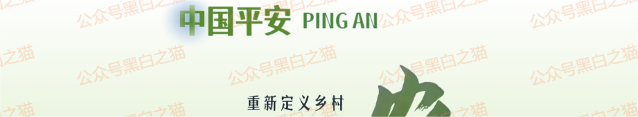 资金盘|短命“恒力集团”返利快杀盘花样频出,参与人小心盘总一夜消失...... 资金盘|短命“恒力集团”返利快杀盘花样频出,参与人小心盘总一夜消失......