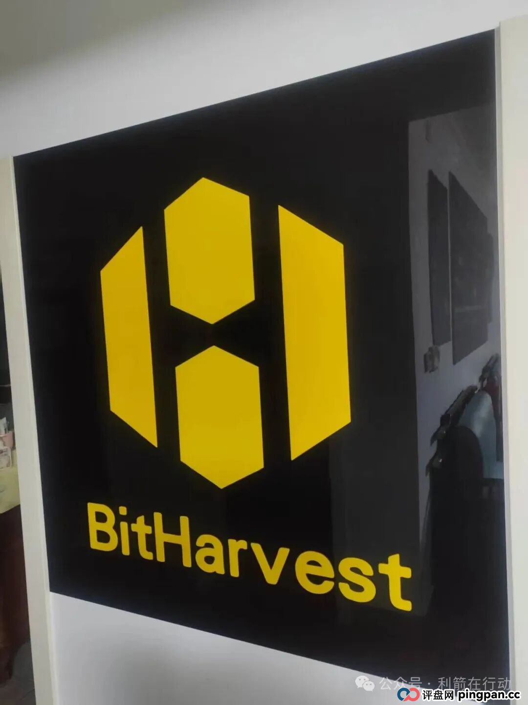 盛世中华，中国华能，BitHarvest，弘骏掌通，天体交易所...这7个互联网项目都是骗局，赶紧远离别中招！