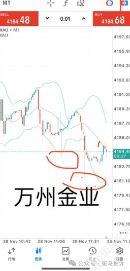 万洲金业这家平台被指K线“异动”？投资一两个月亏损16万！